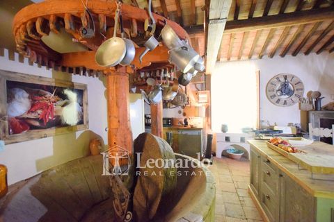 Villa i Camaiore, Lucca, Camaiore - € 395.000 | Ref: REA501 - foto 8