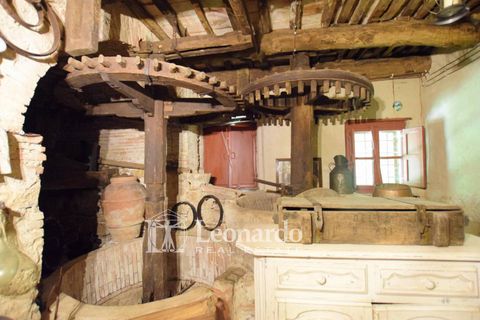 Villa i Camaiore, Lucca, Camaiore - € 395.000 | Ref: REA501 - foto 21