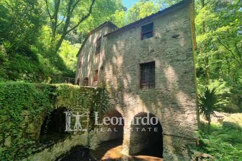 Villa i Camaiore, Lucca, Camaiore - € 395.000 | Ref: REA501 - foto 23