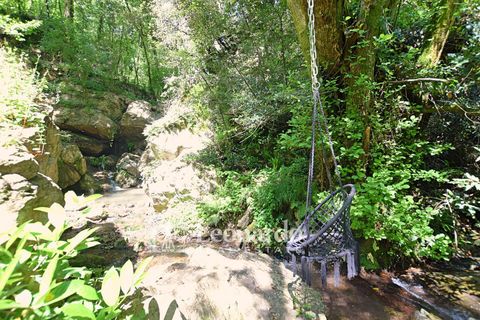 Villa i Camaiore, Lucca, Camaiore - € 395.000 | Ref: REA501 - foto 26
