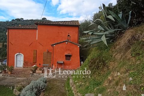 Villa a Massarosa, Lucca, Massarosa - € 845.000 | Ref: S398 - foto 2