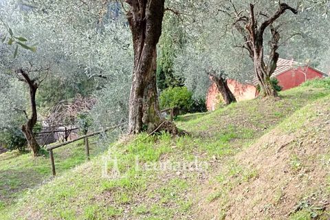 Villa a Massarosa, Lucca, Massarosa - € 845.000 | Ref: S398 - foto 3