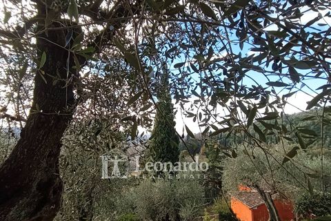 Villa a Massarosa, Lucca, Massarosa - € 845.000 | Ref: S398 - foto 5
