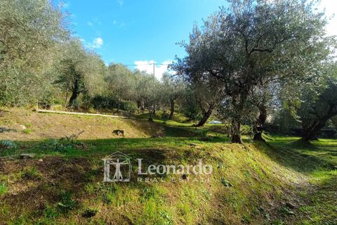 Villa a Massarosa, Lucca, Massarosa - € 845.000 | Ref: S398 - foto 6