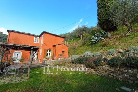 Villa a Massarosa, Lucca, Massarosa - € 845.000 | Ref: S398 - foto 7
