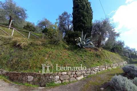 Villa a Massarosa, Lucca, Massarosa - € 845.000 | Ref: S398 - foto 8