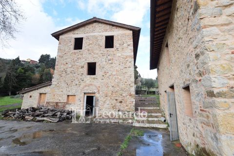Villa i Massarosa, Lucca, Massarosa - € 940.000 | Ref: REA503 - foto 6