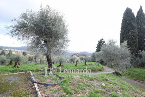 Villa i Massarosa, Lucca, Massarosa - € 940.000 | Ref: REA503 - foto 7
