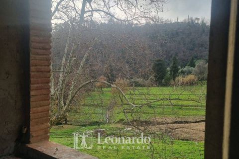 Villa i Massarosa, Lucca, Massarosa - € 940.000 | Ref: REA503 - foto 33