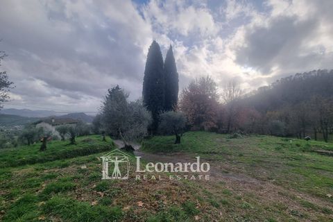 Villa i Massarosa, Lucca, Massarosa - € 940.000 | Ref: REA503 - foto 34