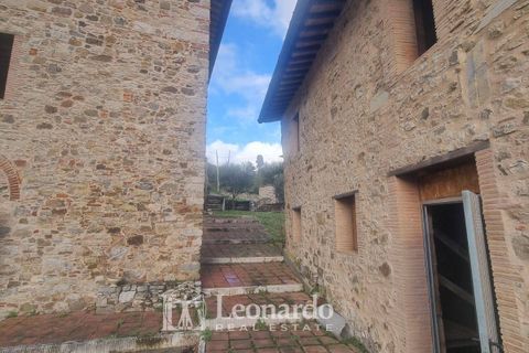 Villa i Massarosa, Lucca, Massarosa - € 940.000 | Ref: REA503 - foto 35