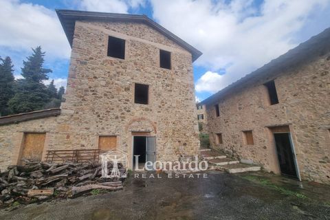 Villa i Massarosa, Lucca, Massarosa - € 940.000 | Ref: REA503 - foto 38