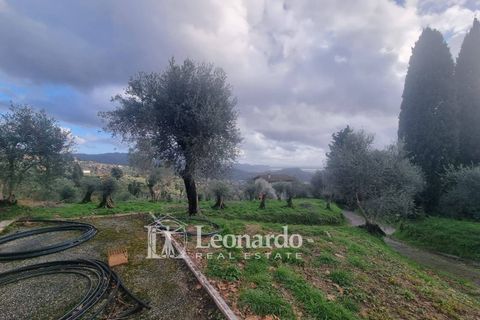 Villa i Massarosa, Lucca, Massarosa - € 940.000 | Ref: REA503 - foto 39