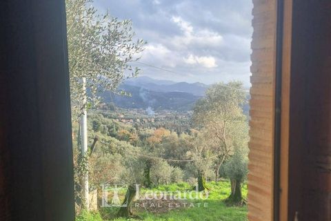 Villa i Massarosa, Lucca, Massarosa - € 940.000 | Ref: REA503 - foto 43