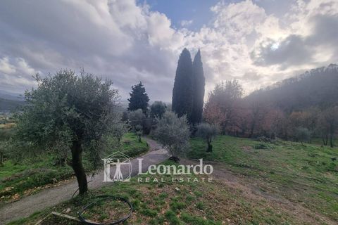 Villa i Massarosa, Lucca, Massarosa - € 940.000 | Ref: REA503 - foto 45