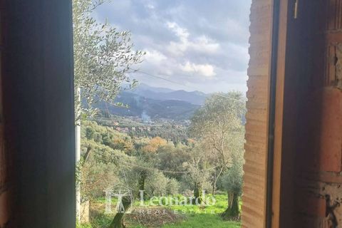 Villa i Massarosa, Lucca, Massarosa - € 940.000 | Ref: REA503 - foto 46