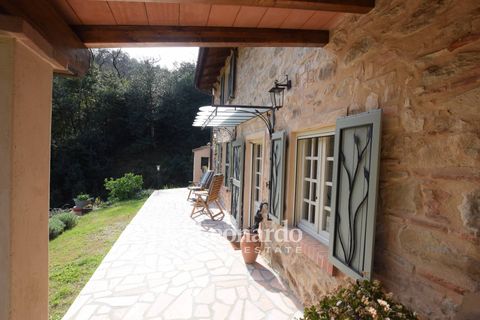 Villa i Camaiore, Lucca, Camaiore - € 900.000 | Ref: REA504 - foto 3