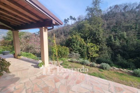 Villa i Camaiore, Lucca, Camaiore - € 900.000 | Ref: REA504 - foto 24