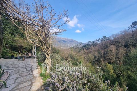 Villa i Camaiore, Lucca, Camaiore - € 900.000 | Ref: REA504 - foto 27