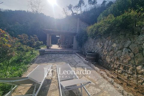 Villa i Camaiore, Lucca, Camaiore - € 900.000 | Ref: REA504 - foto 30
