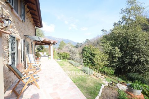Villa i Camaiore, Lucca, Camaiore - € 900.000 | Ref: REA504 - foto 36