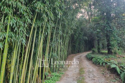 Villa i Camaiore, Lucca, Camaiore - € 900.000 | Ref: REA504 - foto 37