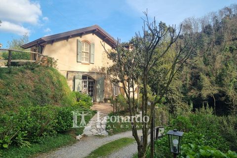 Villa i Camaiore, Lucca, Camaiore - € 900.000 | Ref: REA504 - foto 38