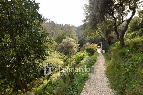 Villa i Camaiore, Lucca, Camaiore - € 900.000 | Ref: REA504 - foto 41