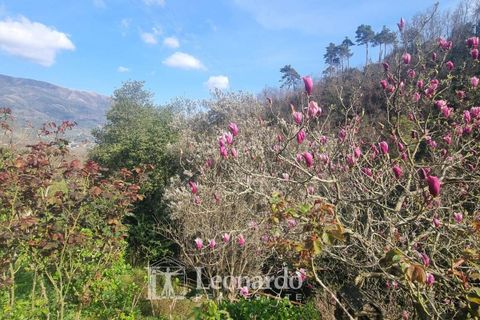 Villa i Camaiore, Lucca, Camaiore - € 900.000 | Ref: REA504 - foto 42