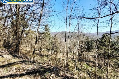 Willa: Pontinvrea, Savona, Pontinvrea – 195 000 € | Ref: F166-799 – zdjęcie 27