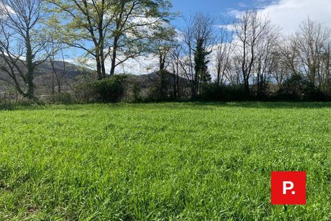 Terra a Alvignano, Caserta, Alvignano - € 60.000 | Ref: 8357 - foto 3