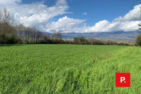 Terra a Alvignano, Caserta, Alvignano - € 60.000 | Ref: 8357 - foto 5