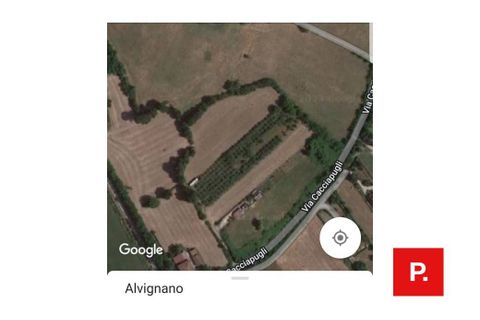 Terra a Alvignano, Caserta, Alvignano - € 60.000 | Ref: 8357 - foto 8