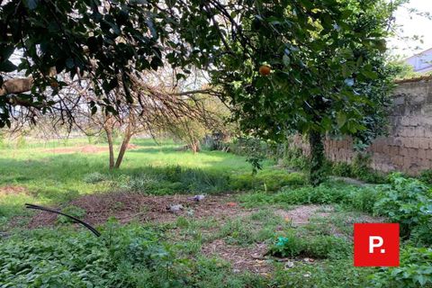 Villa i Alvignano, Caserta, Alvignano - € 110.000 | Ref: 8387 - foto 17