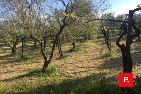 Villa a Caserta, Caserta, Caserta - € 480.000 | Ref: 8403 - foto 30
