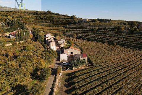 Landejendom i Soave, Verona, Soave - € 148.000 | Ref: 1296 - foto 4