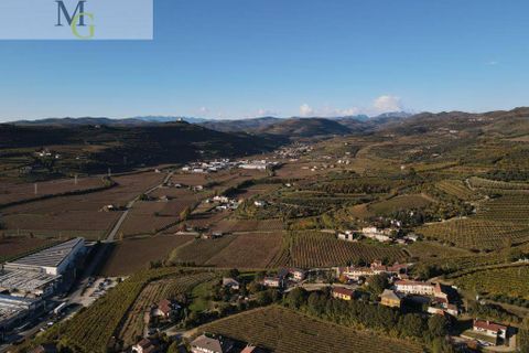 Landejendom i Soave, Verona, Soave - € 148.000 | Ref: 1296 - foto 7