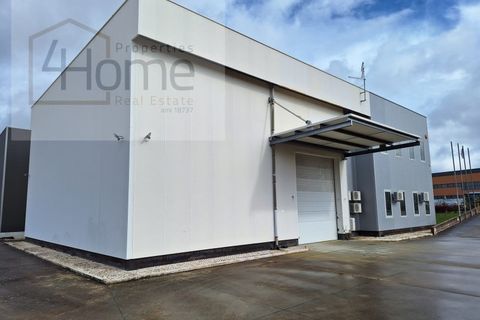 Bungalow i Atalaia, Santarem, Atalaia - € 450.000 | Ref: P4HPAV_277 - foto 3
