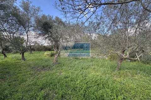 Lejlighed i Noto, Siracusa, Noto - € 145.000 | Ref: NT VCAM 41 - foto 7