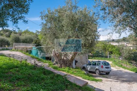 Villa i Noto, Siracusa, Noto - € 270.000 | Ref: NT VMAR 14 - foto 7