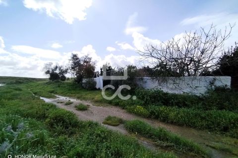 Helårsgrund i Castro Verde, Beja, Castro Verde - € 50.000 | Ref: 333/T/01400 - foto 1