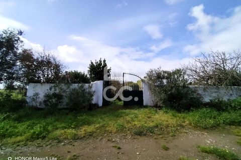 Helårsgrund i Castro Verde, Beja, Castro Verde - € 50.000 | Ref: 333/T/01400 - foto 2