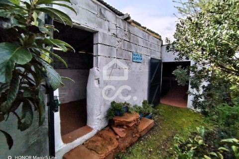 Helårsgrund i Castro Verde, Beja, Castro Verde - € 50.000 | Ref: 333/T/01400 - foto 4