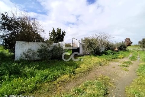 Helårsgrund i Castro Verde, Beja, Castro Verde - € 50.000 | Ref: 333/T/01400 - foto 12