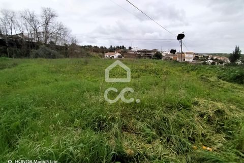 Villa a Garvao, Beja, Garvao - € 230.000 | Ref: 333/M/01401 - foto 23