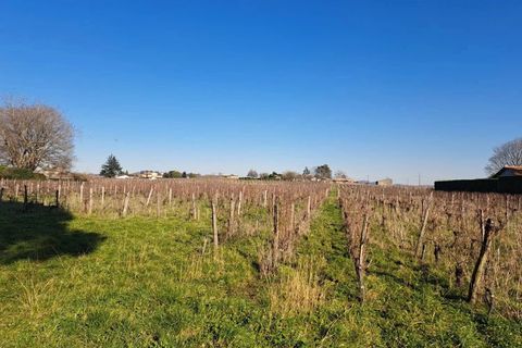 Landejendom i Saint-Emilion, Gironde, Saint-Emilion - € 844.000 | Ref: 52 - foto 2
