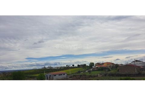 Villa i Torre de Moncorvo, Braganca, Torre de Moncorvo - € 86.000 | Ref: BG97092MG - foto 14