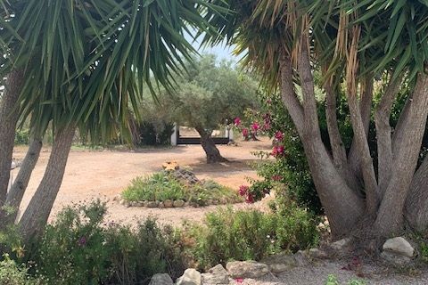 Villa a El Perello, Tarragona, El Perello - € 550.000 | Ref: es5554654 - foto 22
