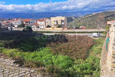 Helårsgrund i Torre de Moncorvo, Braganca, Torre de Moncorvo - € 31.500 | Ref: BG97111MG - foto 4