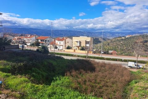 Helårsgrund i Torre de Moncorvo, Braganca, Torre de Moncorvo - € 31.500 | Ref: BG97111MG - foto 5